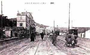 2542- Alger - Avenue de Bab-El-Oued - 1905